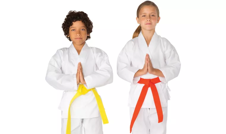 Two youth stand in karate poses
