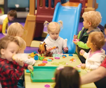 Babysitting Safety Program